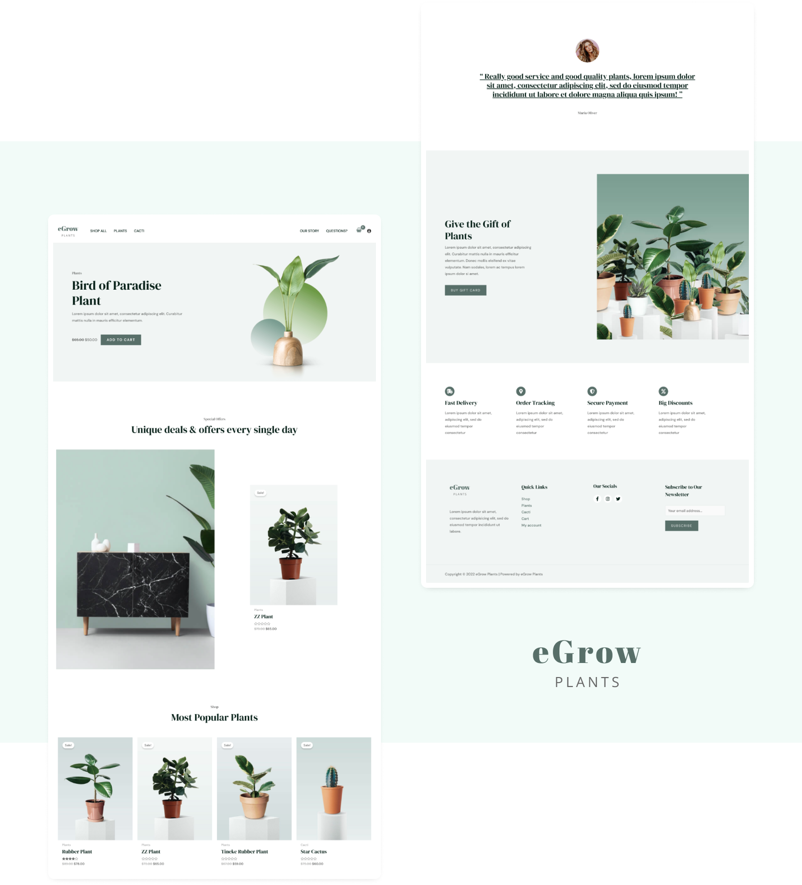 Introducing Astra 3.9: Create the Ultimate Shopping Experience eGrow Plants Starter Template