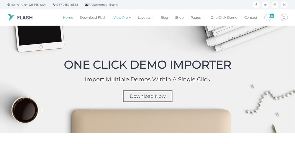 15 of the Best WordPress Newsletter Themes (Most Are Free) Flash main page demo template