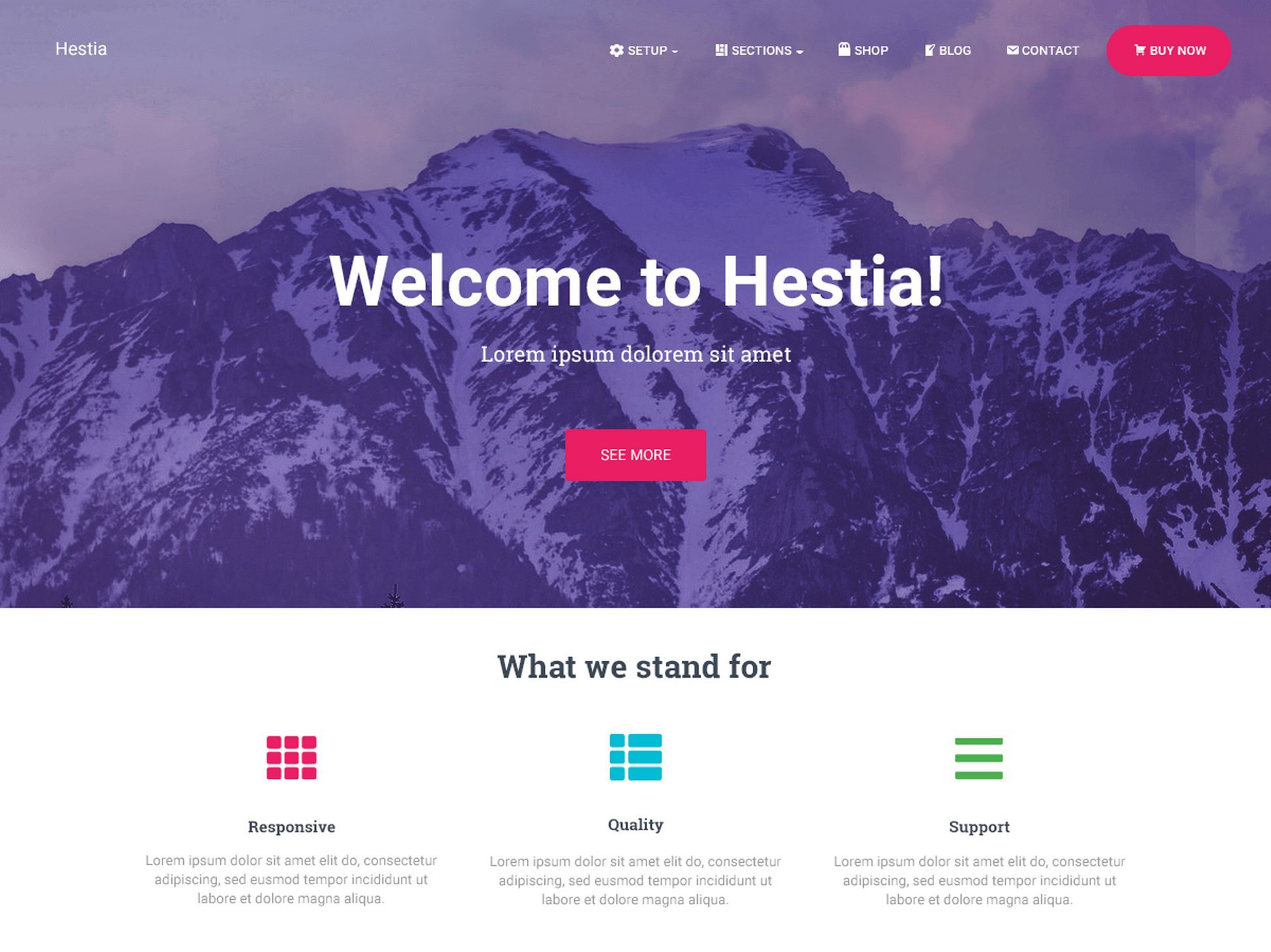 Elevate Your Brand: 28 Proven Digital Agency WordPress Themes hestia theme template