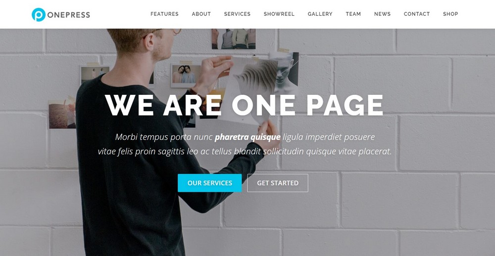 26 Best Bookstore WordPress Themes for Selling Books OnePress WordPress theme