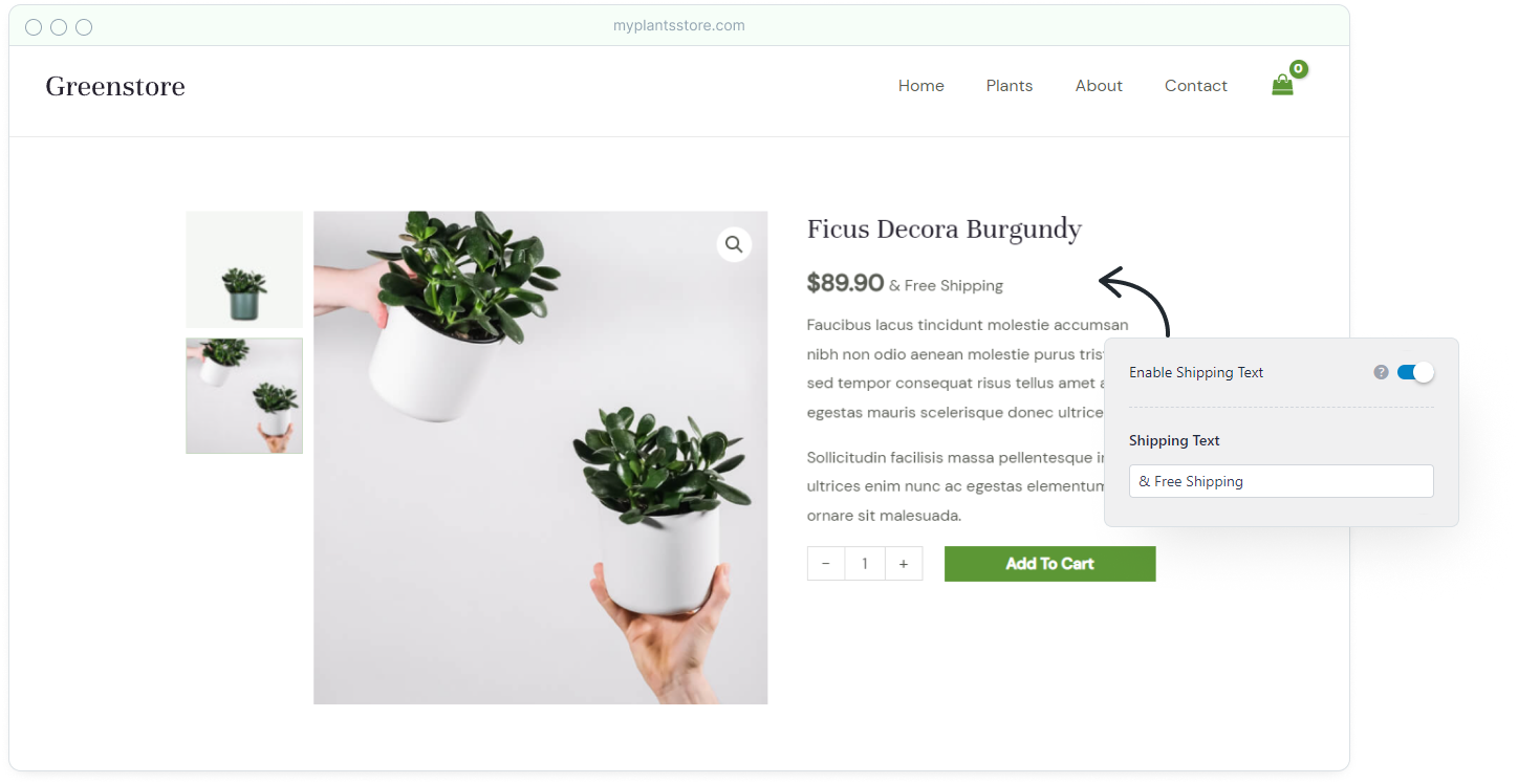 Introducing Astra 3.9: Create the Ultimate Shopping Experience shipping text on the product page