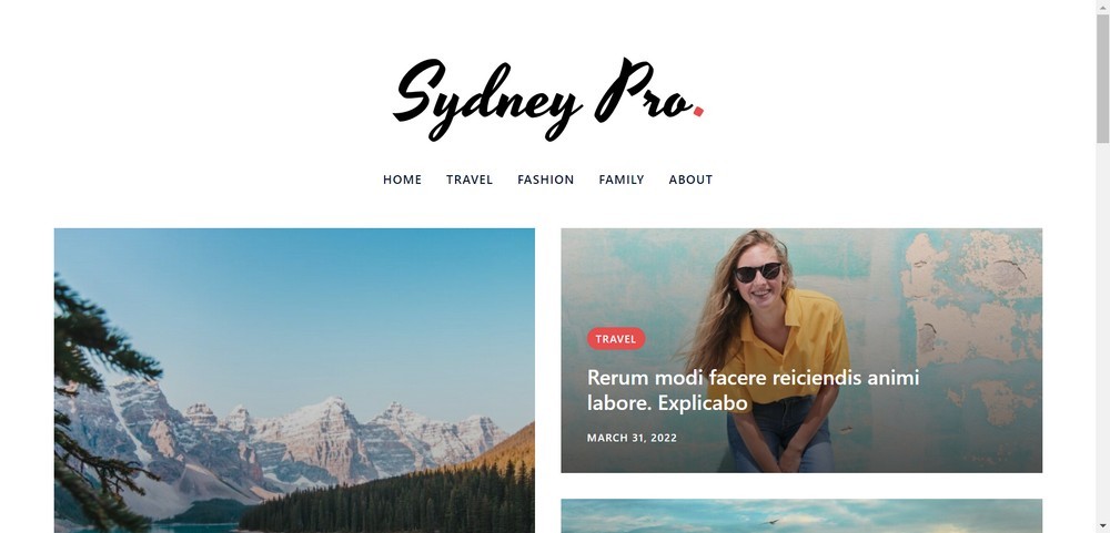 15 of the Best WordPress Newsletter Themes (Most Are Free) sydney newspaper website demo