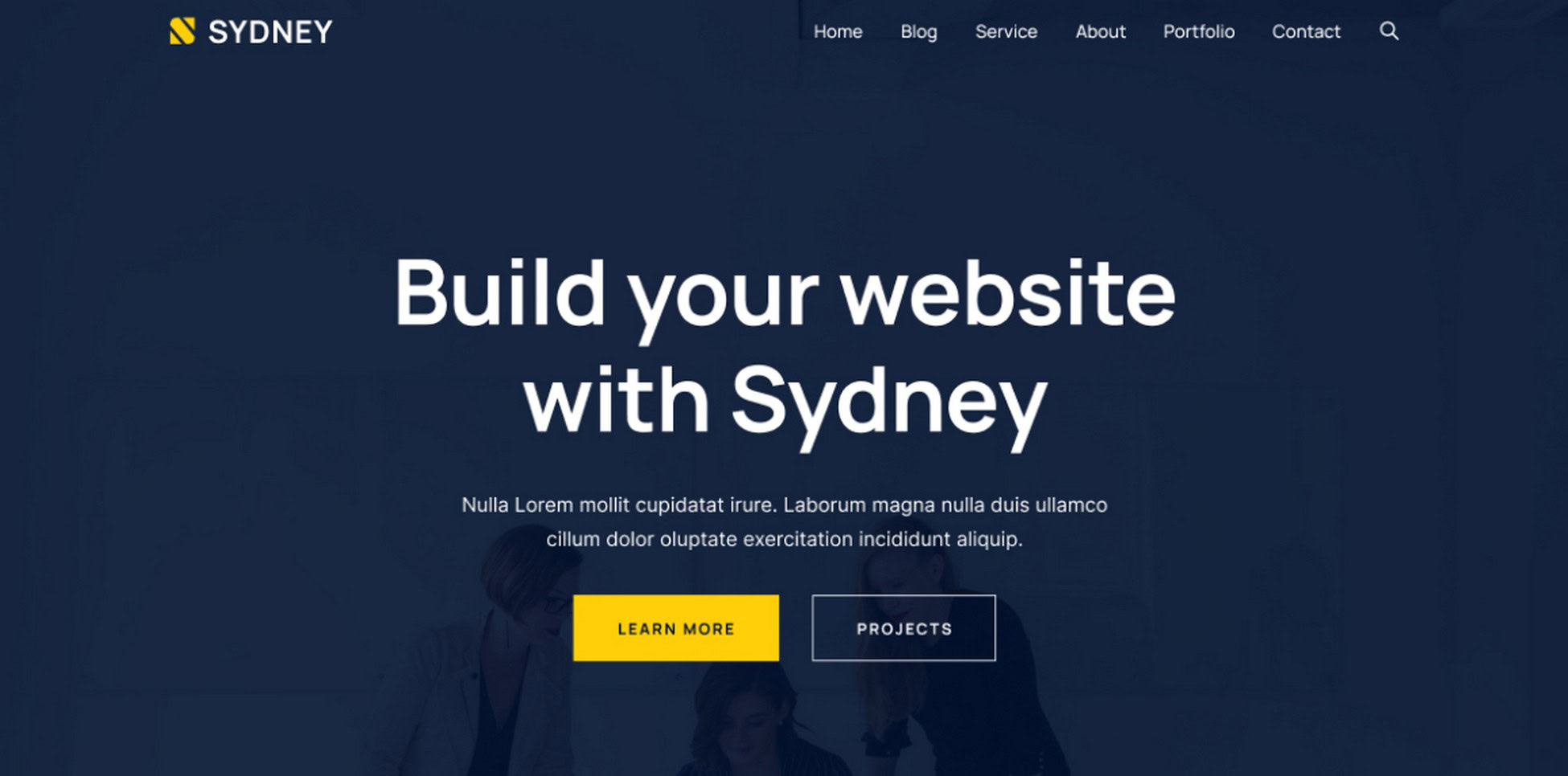 Elevate Your Brand: 28 Proven Digital Agency WordPress Themes sydney theme screenshot