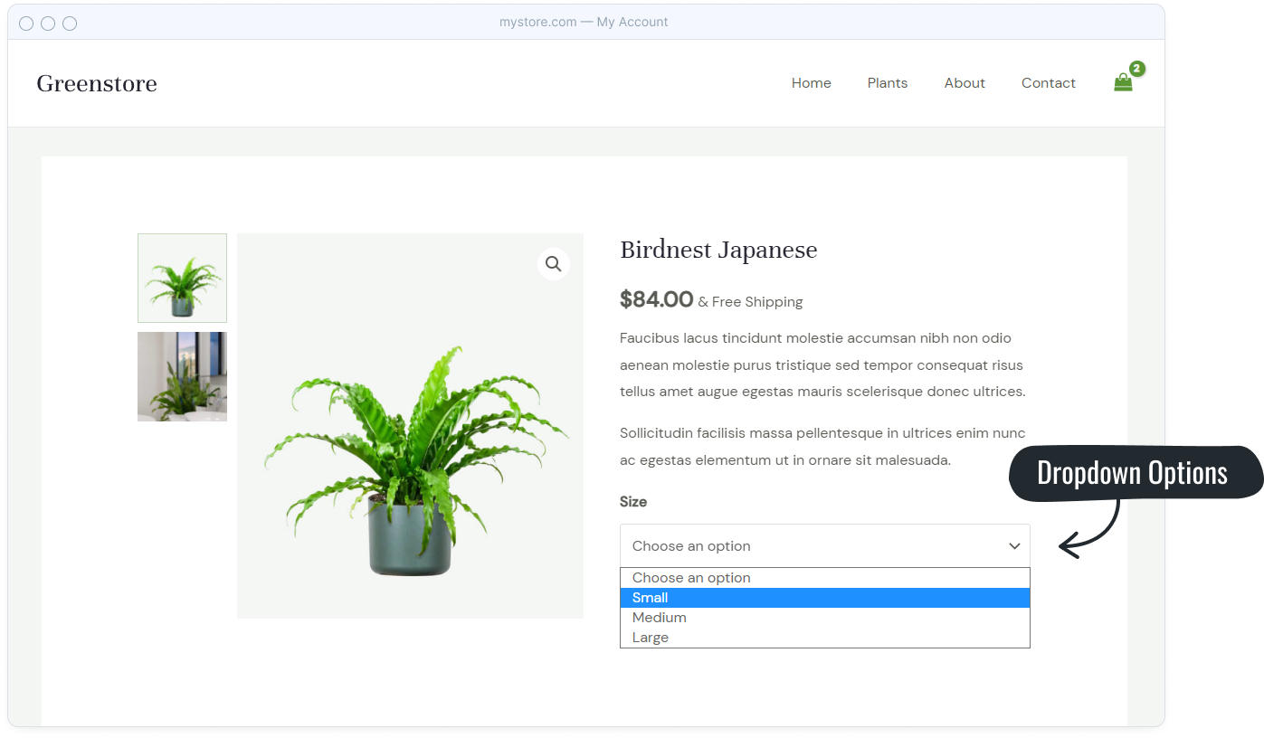 Introducing Astra 3.9: Create the Ultimate Shopping Experience Variation swatches dropdown options in default WooCommerce