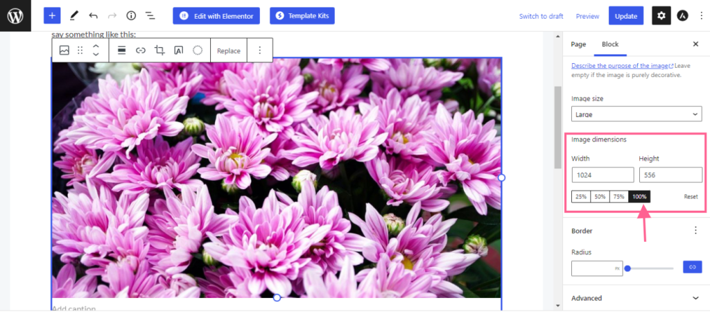 How to improve the CLS score with the Astra theme Ast image dmension