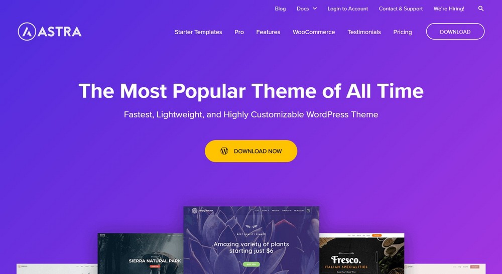 10 Best Metro WordPress Themes Compared (Free and Premium) Astra multipurpose WordPress theme