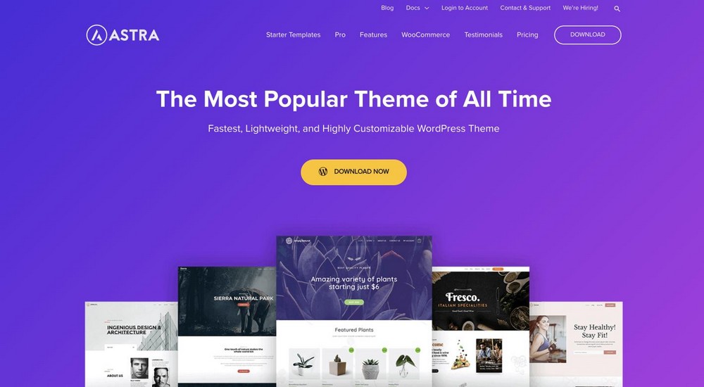 21 Most Customizable WordPress Themes: Hard To Believe Most Are Free Astra WordPress theme
