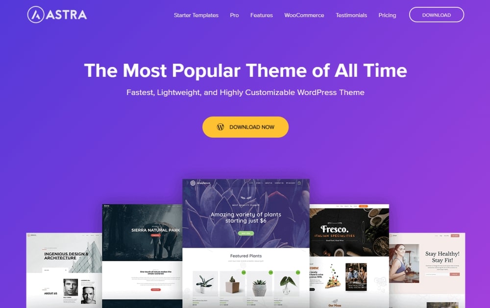 Best Kindergarten WordPress Themes: For Preschools, Nursery and Daycare Services Astra WordPress theme website home page