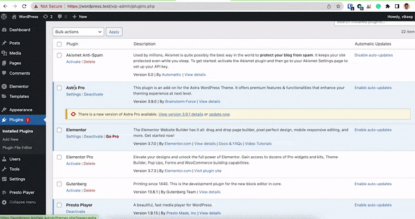 Auto Update Plugin Support Demo Auto Update