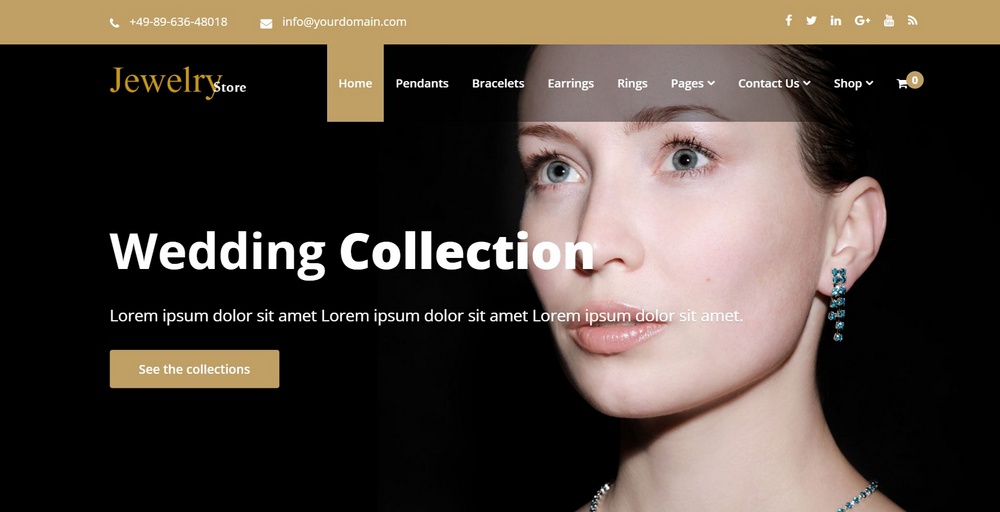 25 Best Jewelry WordPress Themes for Ecommerce Stores jewelry store pro