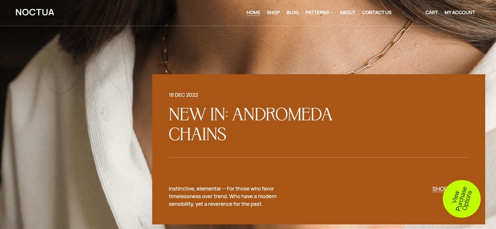25 Best Jewelry WordPress Themes for Ecommerce Stores noctua premium wordpress theme for jewelry designers