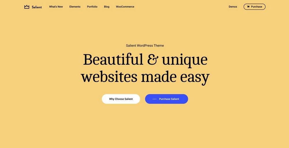 21 Most Customizable WordPress Themes: Hard To Believe Most Are Free Salient WordPress theme
