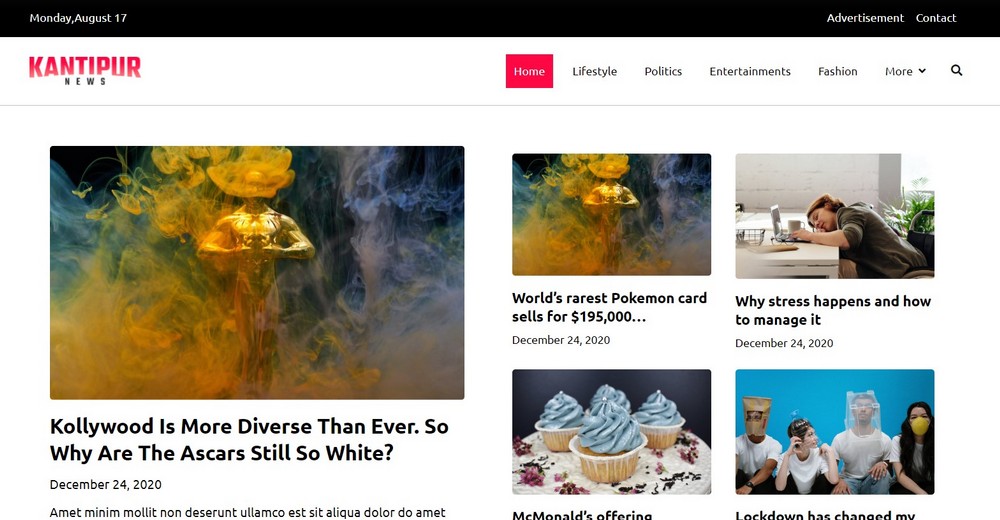 10 Best Metro WordPress Themes Compared (Free and Premium) Zakra multipurpose WordPress theme