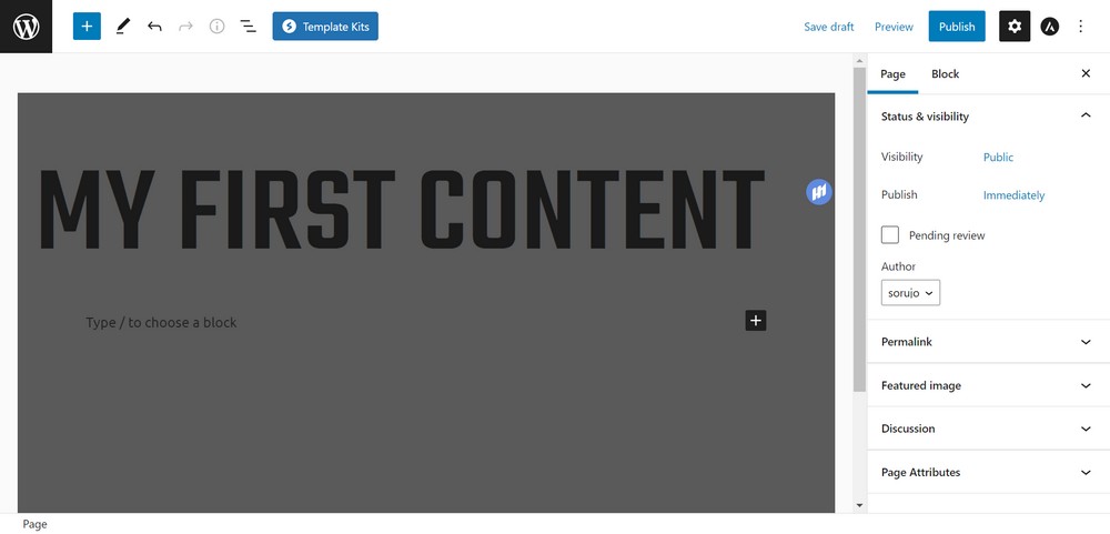 How To Create a Gym / Fitness Website (Step by Step Guide) Adding title of the page