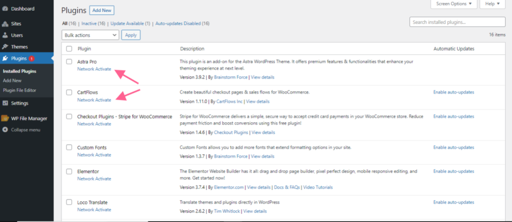 How to Create a Multisite Network and Use Astra Child Theme On It adding-plugins