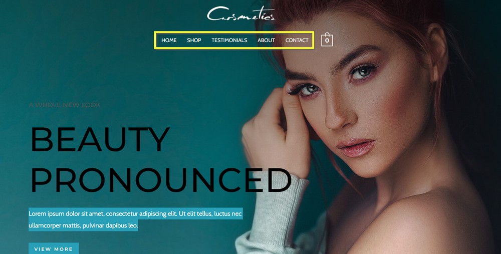 How To Start a Jewelry Business Online (Step by Step Guide) astra cosmetic template