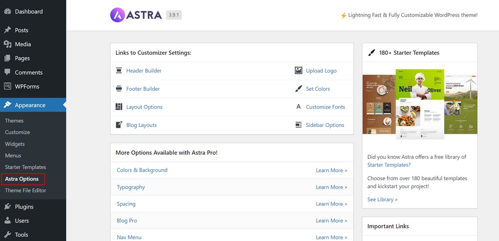 How To Create a Gym / Fitness Website (Step by Step Guide) Astra customization option
