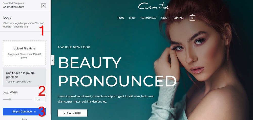 How To Start a Jewelry Business Online (Step by Step Guide) change logo and color on astra template