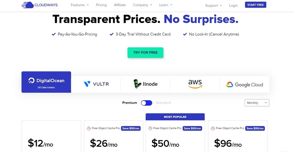 How To Create a Photography Website – Beginner's Guide cloudways pricing page