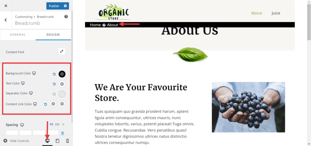 Responsive Editing With the Astra Theme Color4 1 1024x481