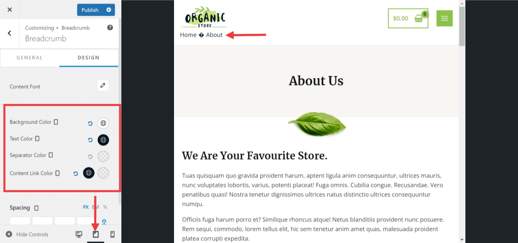 Responsive Editing With the Astra Theme Color5 1024x481