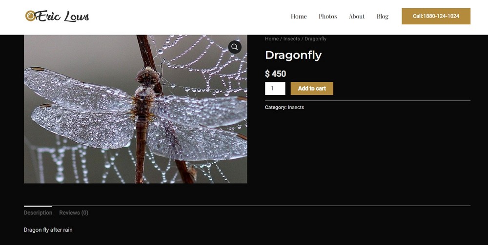 How To Create a Photography Website – Beginner's Guide single product page - single photo page