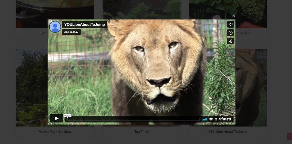 How To Create a Photography Website – Beginner's Guide video gallery sample on wpportfolio plugin