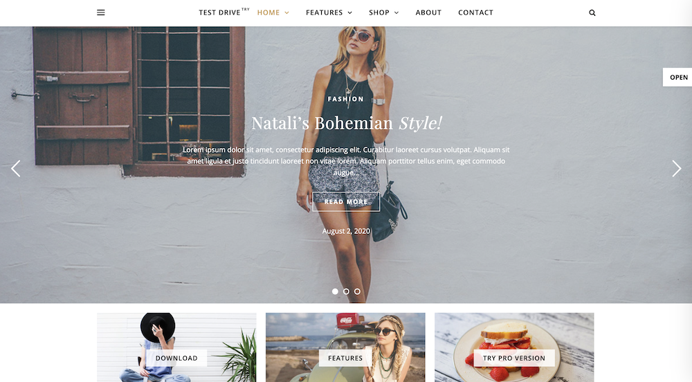 35 Best WordPress Photography Themes for Photographers (Most Are Free) Ashe WordPress theme