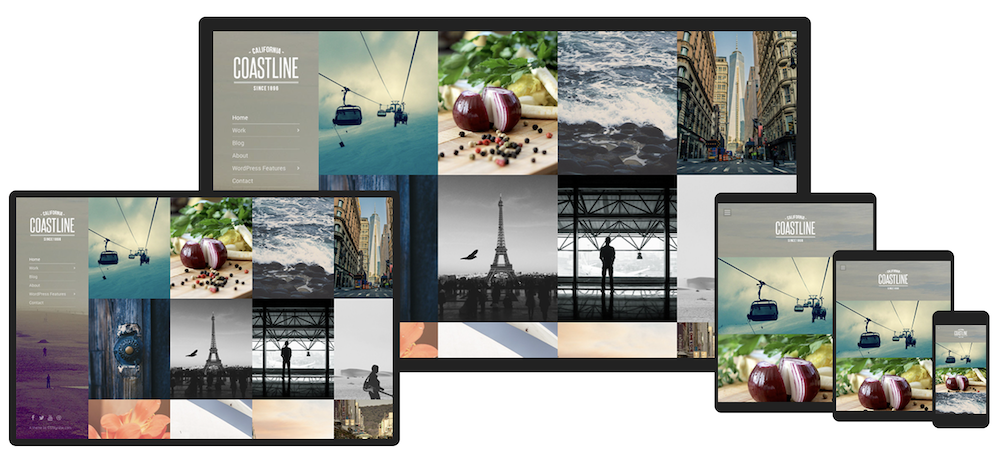 35 Best WordPress Photography Themes for Photographers (Most Are Free) Coastline WordPress theme