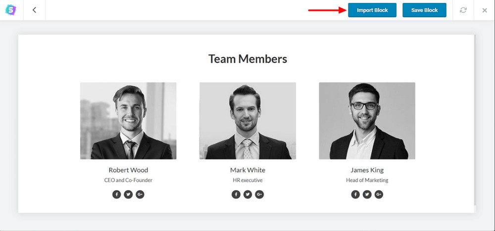 How To Create a Law Firm Website With WordPress (Step by Step Guide) Import team block