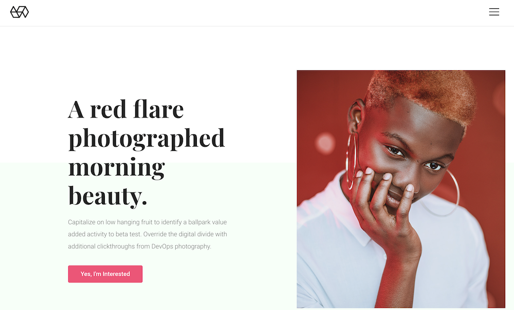 35 Best WordPress Photography Themes for Photographers (Most Are Free) Webify WordPress theme