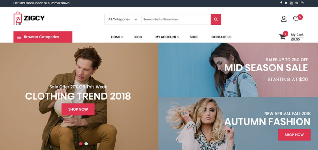 40 Best Free WordPress eCommerce Themes – Online Stores Made Easy! Zigcy lite website demo