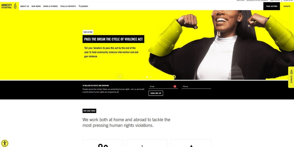 How To Create a Nonprofit Website Using WordPress and Free Templates Amnesty International