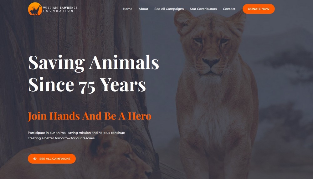 How To Create a Nonprofit Website Using WordPress and Free Templates Animal Welfare