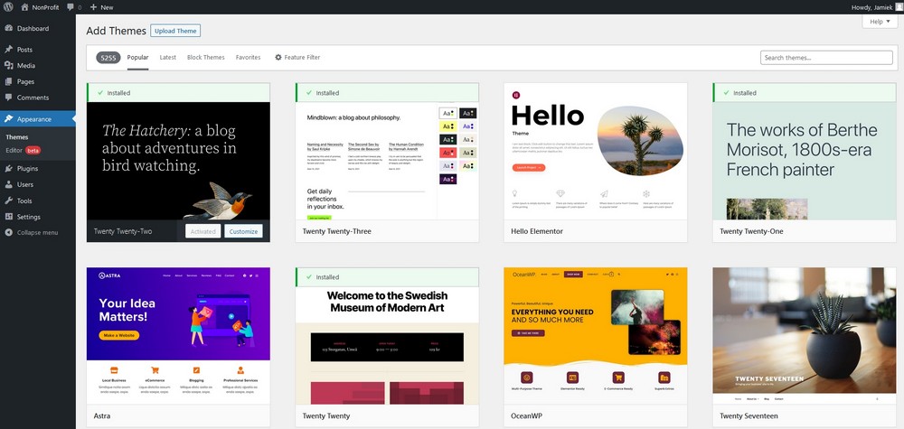 How To Create a Nonprofit Website Using WordPress and Free Templates Astra setup