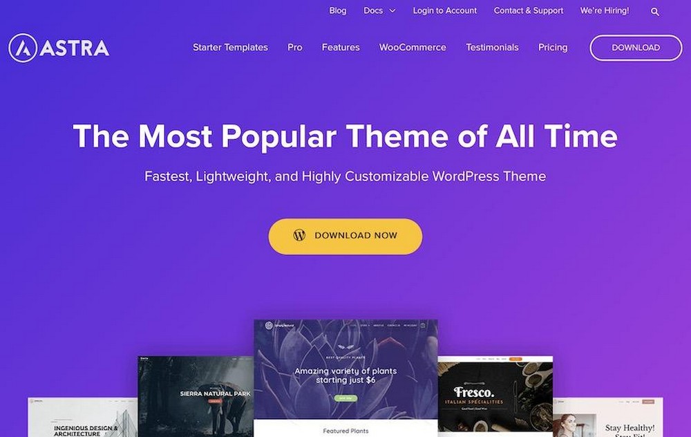 How To Hire a Web Designer: 14 Considerations to Make Astra WordPress Theme