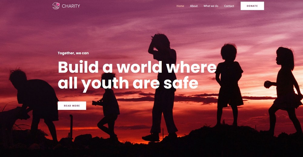 How To Create a Nonprofit Website Using WordPress and Free Templates Charity template