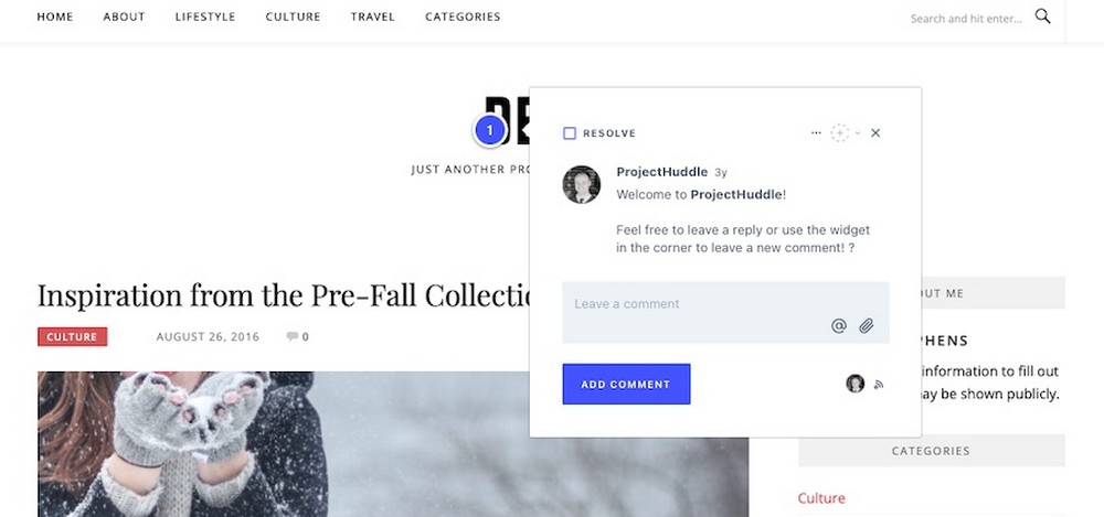 How To Hire a Web Designer: 14 Considerations to Make ProjectHuddle demo