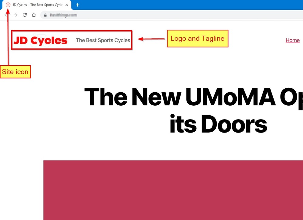 27 Essential Things to Do After WordPress Installation – Simple but Necessary! site title and favicon on the front end