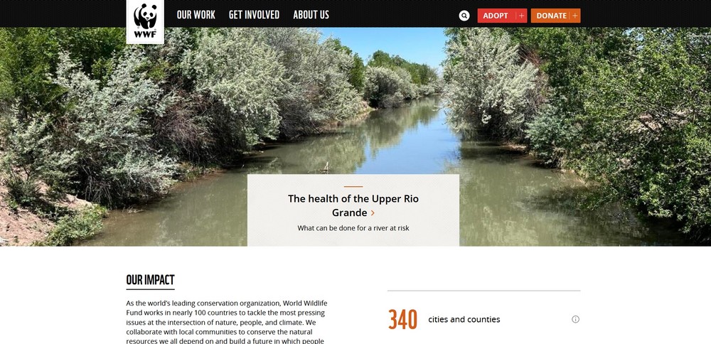 How To Create a Nonprofit Website Using WordPress and Free Templates World Wildlife Fund