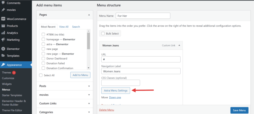 Astra Menu Settings 1024x460