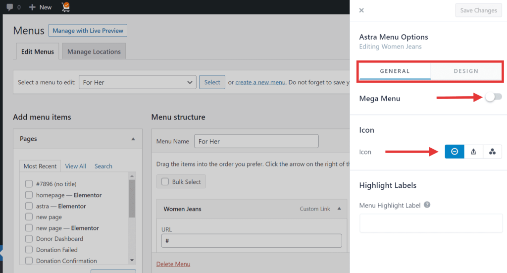 Astra Menu Options 1024x551