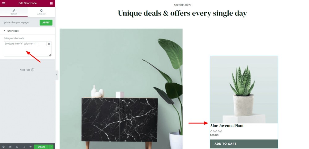 How To Sell Plants Online From Home - Beginner’s Guide Special product