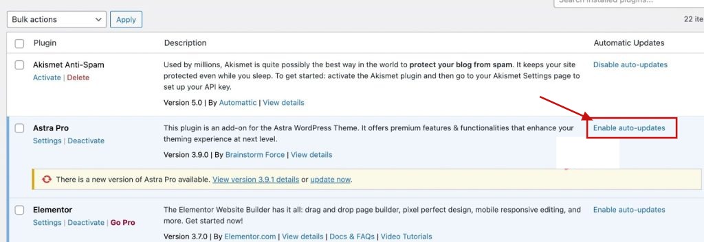 Auto Update Plugin Support Enabling_Auto_update