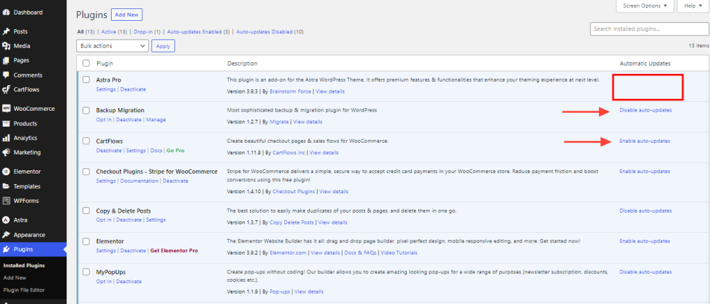 Auto Update Plugin Support Astra Auto update plugin