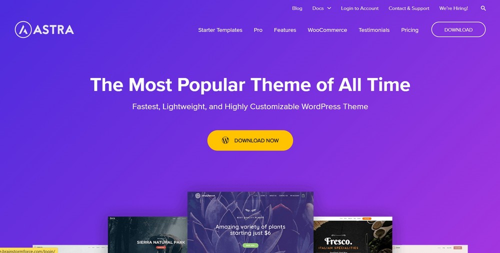 How To Start a Travel Blog: From Creating a Website to Making Money Astra theme