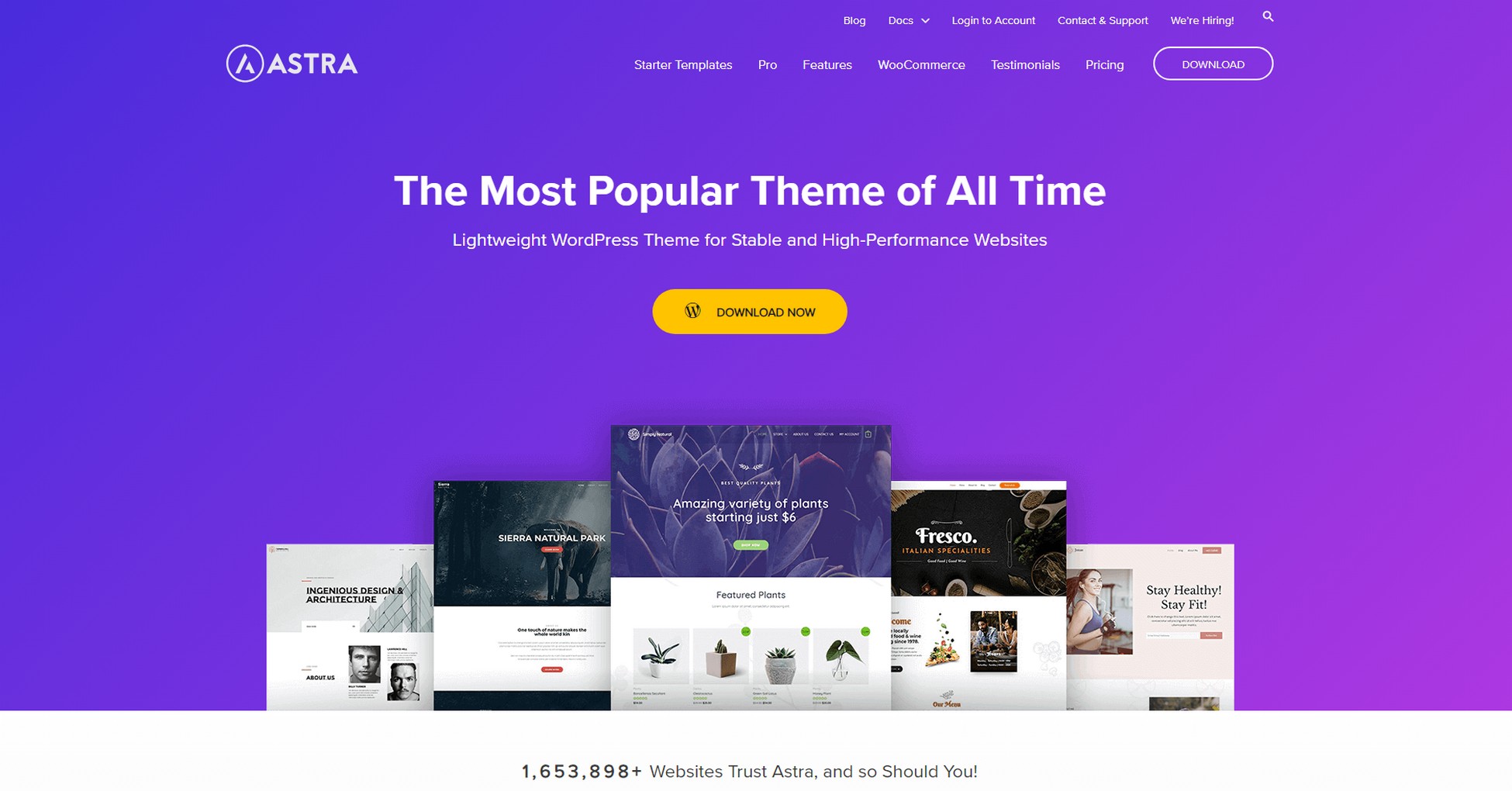 Say It With Style: 31 Stunning WordPress Magazine Themes astra-wordpress-theme