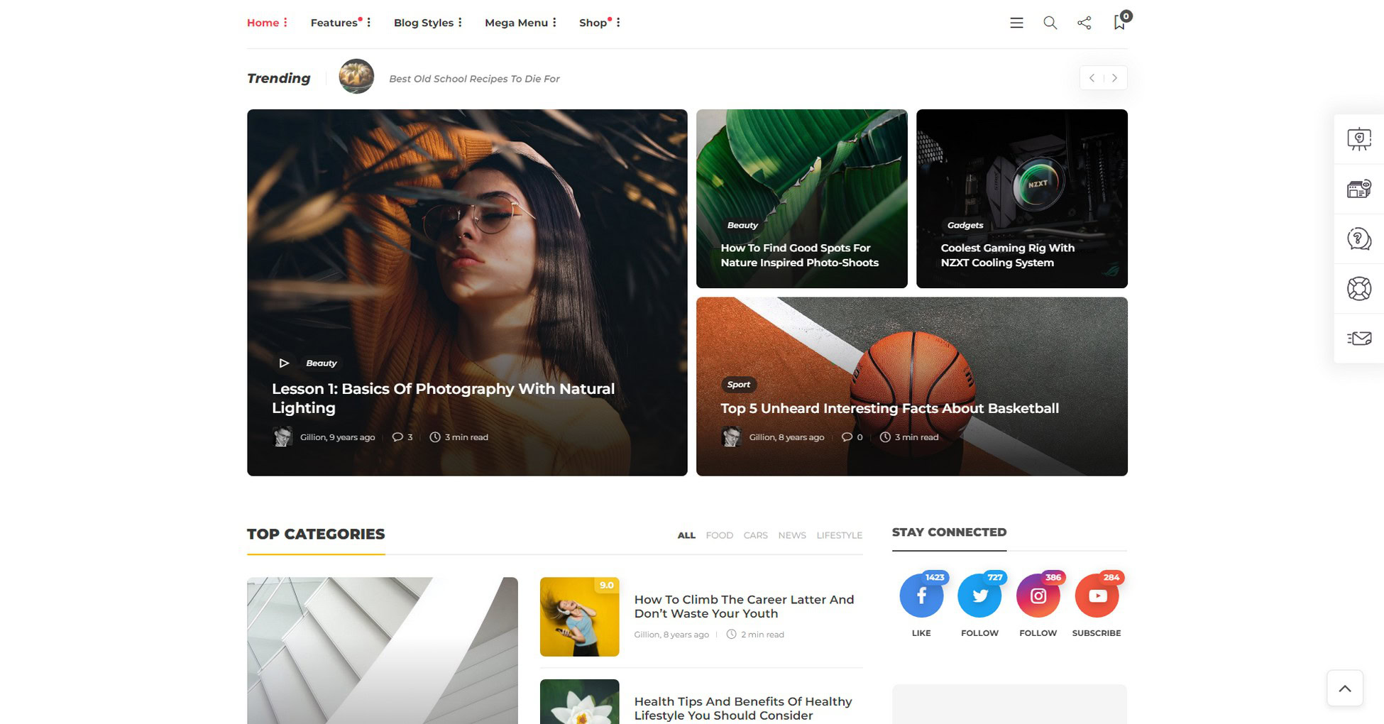 Say It With Style: 31 Stunning WordPress Magazine Themes gillion-wordpress-magazine-theme