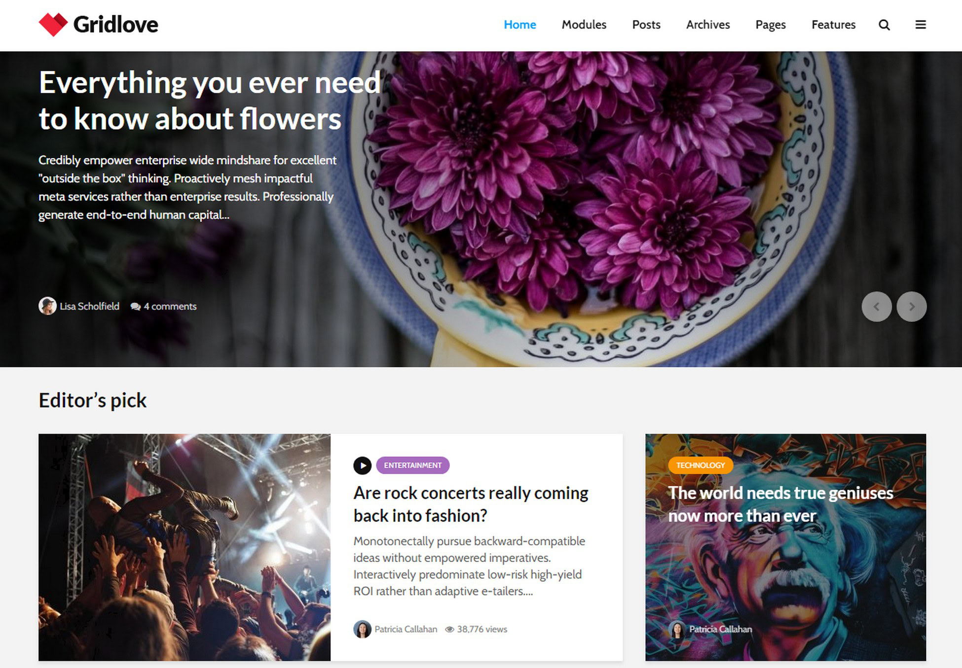 Say It With Style: 31 Stunning WordPress Magazine Themes gridlove-magazine-theme