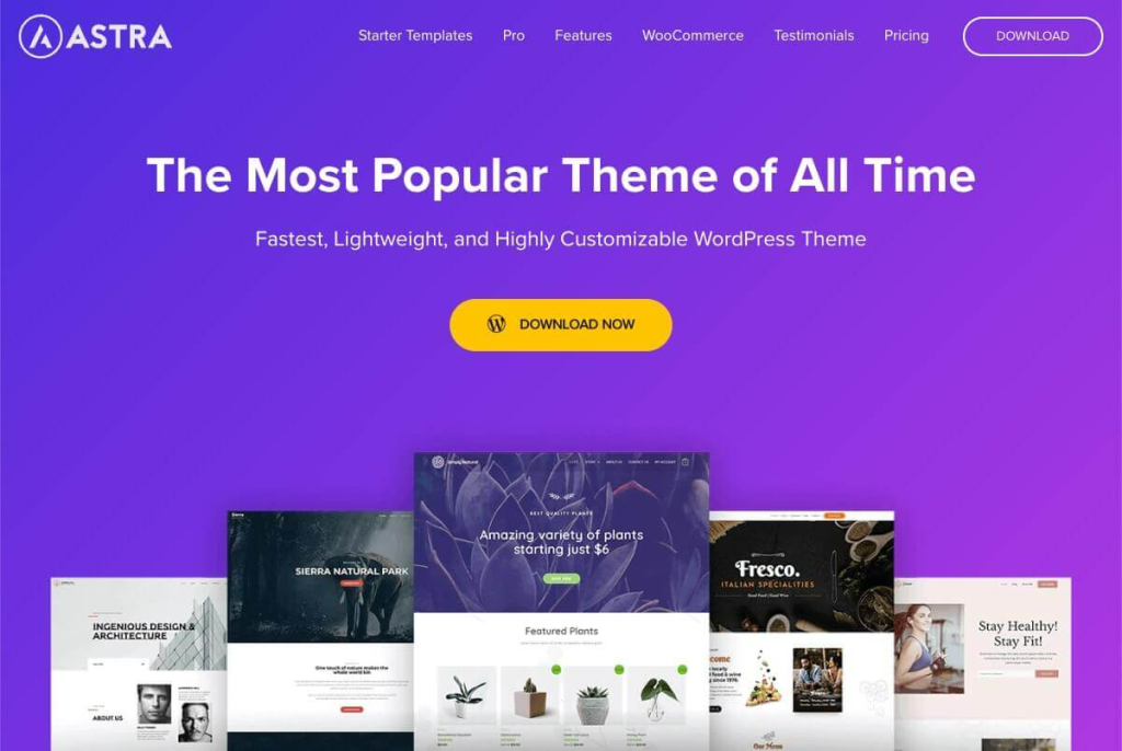 How To Create a Single Product Website: Step by Step With WooCommerce Install the Astra theme and WooCommerce plugin